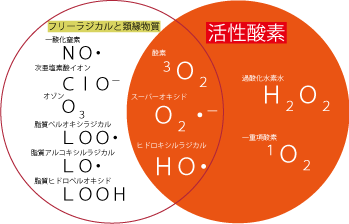 活性酸素、不妊、卵子の老化